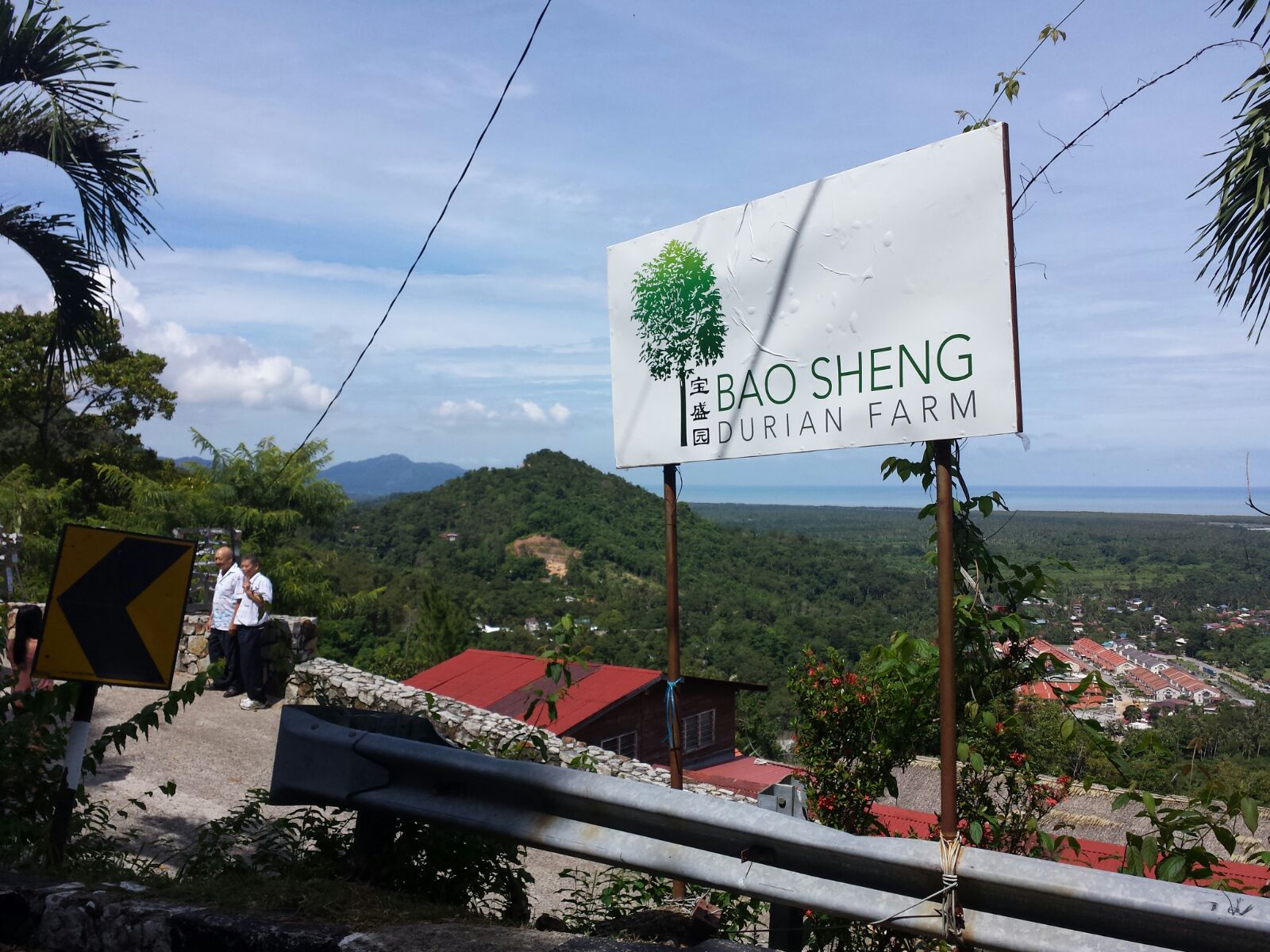 Hasil gambar untuk Bao Sheng Durian Farm