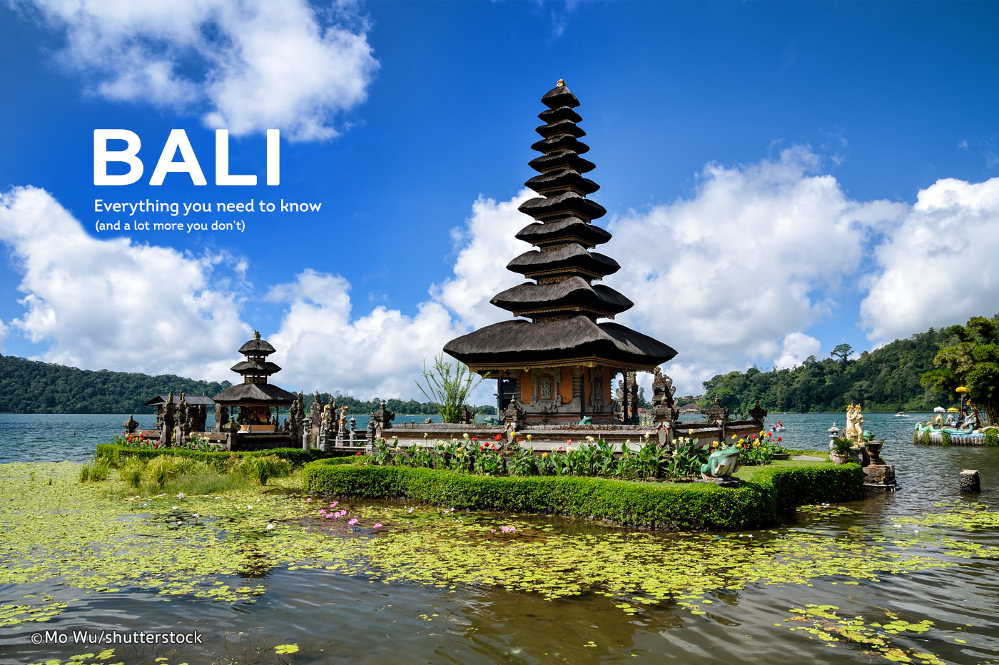 Hasil gambar untuk bali