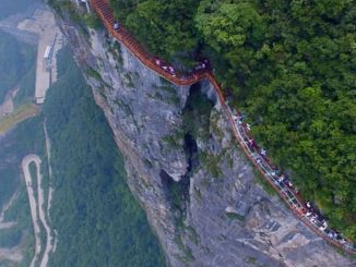 Coiling Dragon Cliff Skywalk