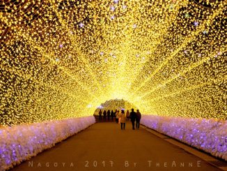 Wisata Unik Di Nagoya Yang Wajib Dikunjungi