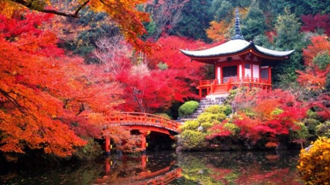 Destinasi Wisata Honeymoon Terbaik Di Asia Destinasi Wisata Honeymoon Terbaik Di Asia